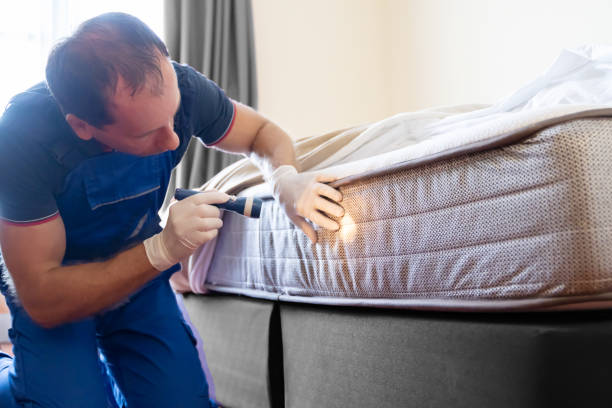 Best Bed Bug Extermination  in Mcdonald, OH